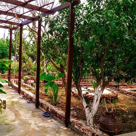 Alpha Stegna Sun Maison d'hôtes Archangelos (Rhodes)