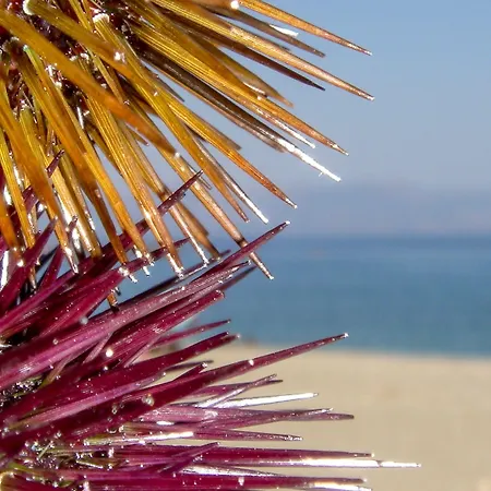 Maison d'hôtes Alpha Stegna Sun Archangelos (Rhodes)