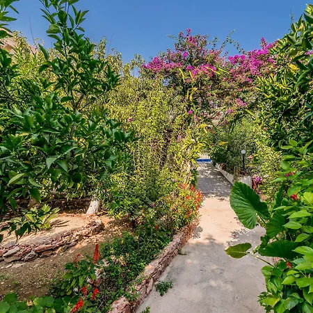 Maison d'hôtes Alpha Stegna Sun Archangelos (Rhodes)