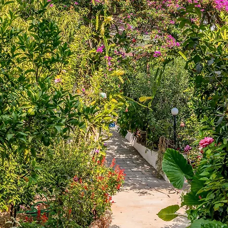 Alpha Stegna Sun Maison d'hôtes Archangelos (Rhodes)