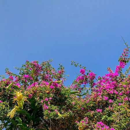 Alpha Stegna Sun Maison d'hôtes