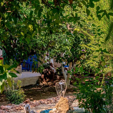 Alpha Stegna Sun Archangelos (Rhodes)