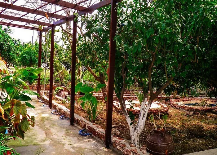 Alpha Stegna Sun بيت ضيافة أرخانجلوس