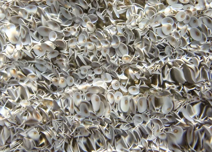 Alpha Stegna Sun بيت ضيافة