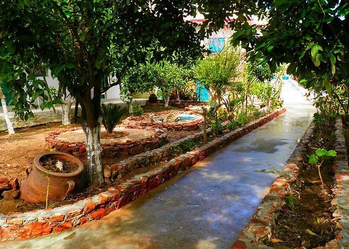 Alpha Stegna Sun بيت ضيافة 3*