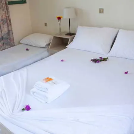 Alpha Stegna Sun Arhángelosz