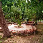 Alpha Stegna Sun 3*