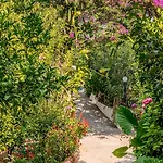 Alpha Stegna Sun Guest house Archangelos (Rhodes)