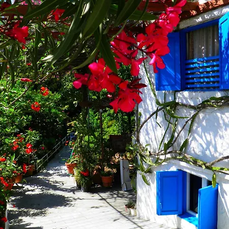 Gasthuis Alpha Stegna Sun Archangelos (Rhodes)