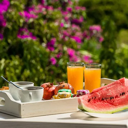 Alpha Stegna Sun أرخانجلوس