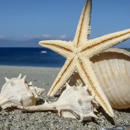 بيت ضيافة Alpha Stegna Sun