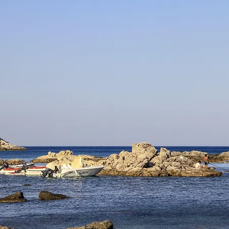 Alpha Stegna Sun 3*
