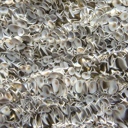 Alpha Stegna Sun بيت ضيافة