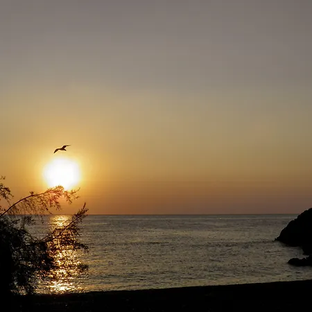 Alpha Stegna Sun 3*