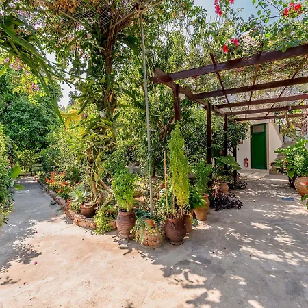 Alpha Stegna Sun Guest house