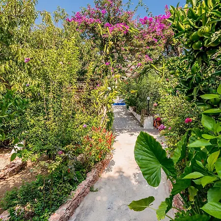 Konukevi Alpha Stegna Sun
