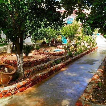 Alpha Stegna Sun بيت ضيافة 3*