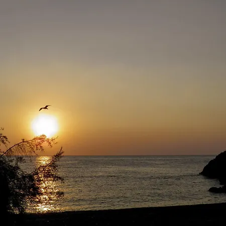 Alpha Stegna Sun Konukevi Archangelos (Rhodes)