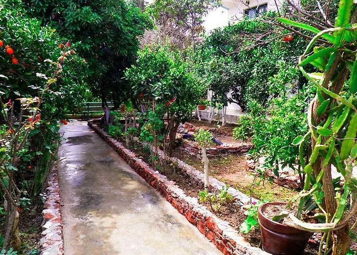 Alpha Stegna Sun 게스트하우스