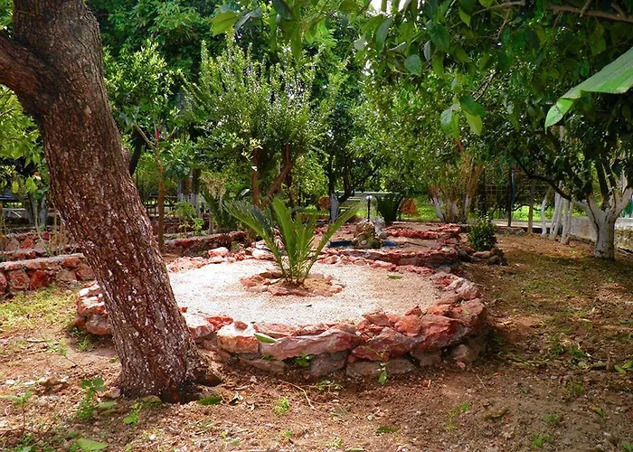 Alpha Stegna Sun 3*