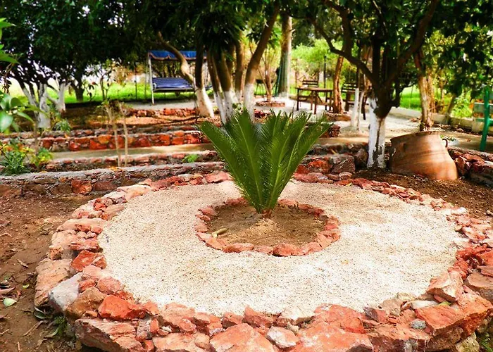 Alpha Stegna Sun Πανσιόν Αρχάγγελος