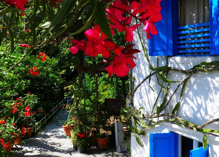 Πανσιόν Alpha Stegna Sun Αρχάγγελος