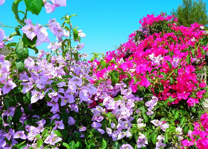 Alpha Stegna Sun 게스트하우스 아크앤젤로스