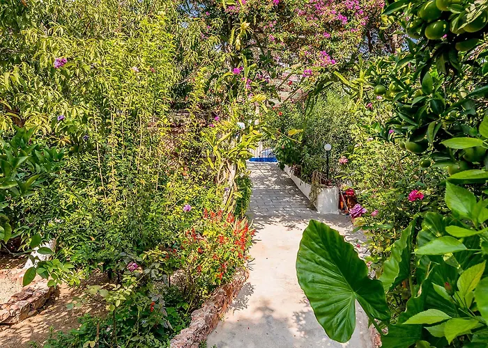 게스트하우스 Alpha Stegna Sun