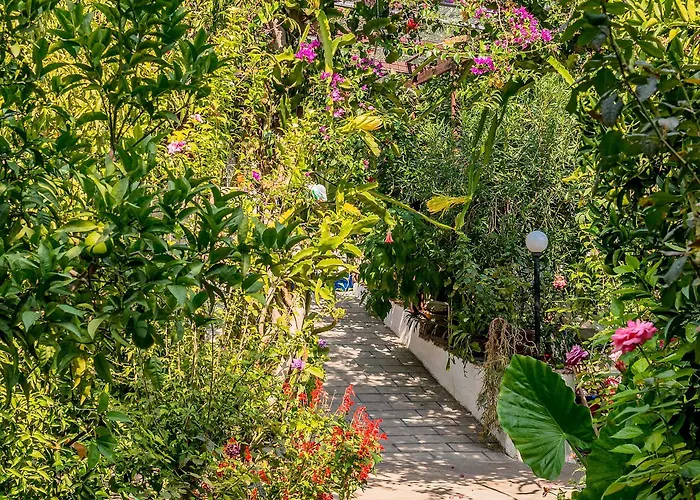 Alpha Stegna Sun Πανσιόν Αρχάγγελος