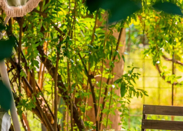 Πανσιόν Alpha Stegna Sun 3*