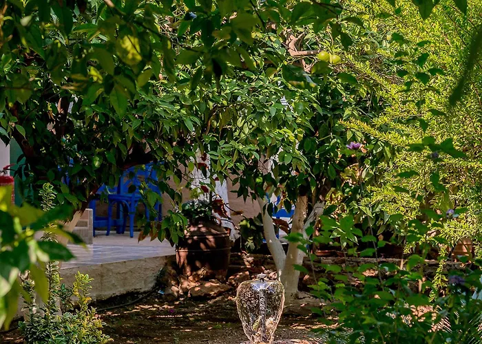 Alpha Stegna Sun Αρχάγγελος