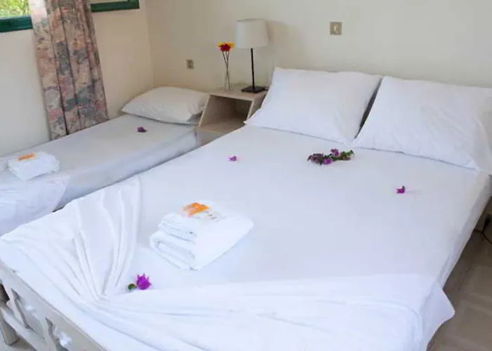 Alpha Stegna Sun Αρχάγγελος