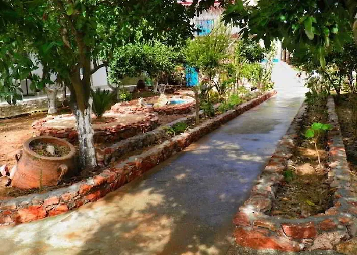 Alpha Stegna Sun 아크앤젤로스