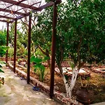 Alpha Stegna Sun بيت ضيافة أرخانجلوس