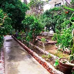 Alpha Stegna Sun بيت ضيافة