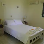 Alpha Stegna Sun