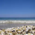 Alpha Stegna Sun بيت ضيافة أرخانجلوس