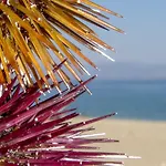 بيت ضيافة Alpha Stegna Sun أرخانجلوس