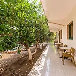 Alpha Stegna Sun 3*