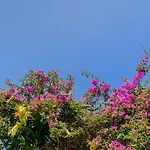 Alpha Stegna Sun بيت ضيافة