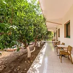 Alpha Stegna Sun 3*