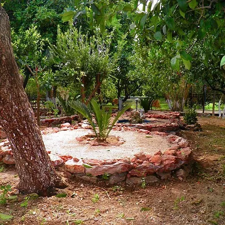 Alpha Stegna Sun 3*