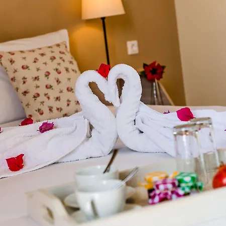 Alpha Stegna Sun 3* Arhángelosz