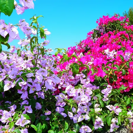 Alpha Stegna Sun Vendégház Arhángelosz