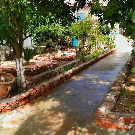 Alpha Stegna Sun Arhángelosz