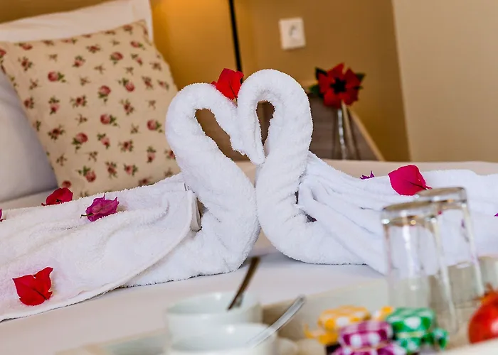 Alpha Stegna Sun 3* アルハンゲロス