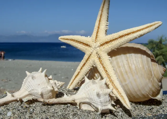 ゲストハウス Alpha Stegna Sun