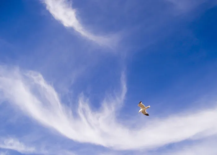 ゲストハウス Alpha Stegna Sun アルハンゲロス