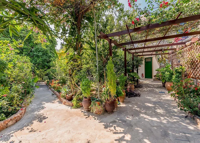 Alpha Stegna Sun ゲストハウス