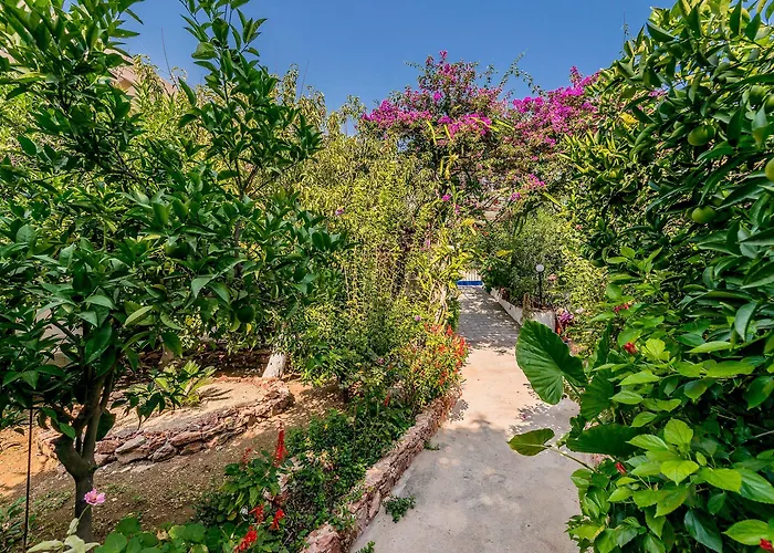 ゲストハウス Alpha Stegna Sun アルハンゲロス